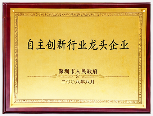 自主创新行业龙头企业证书